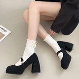 Lourdasprec Black French Thick Heel Shoes Women's  New Autumn and Winter Suede with Skirt Shallow Square Head Single Shoes