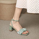 Lourdasprec  Internet celebrity one-line buckle open-toe women's sandals 2023 summer new French thick-heel fairy style with skirt high heels