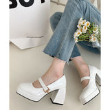 Lourdasprec thick-heeled high-heeled women's Spring and Autumn 2023 new style short shallow square head French shoes women shoes