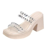 LOURDASPREC- Casual Transparent Thick Heel Elevated Sandals